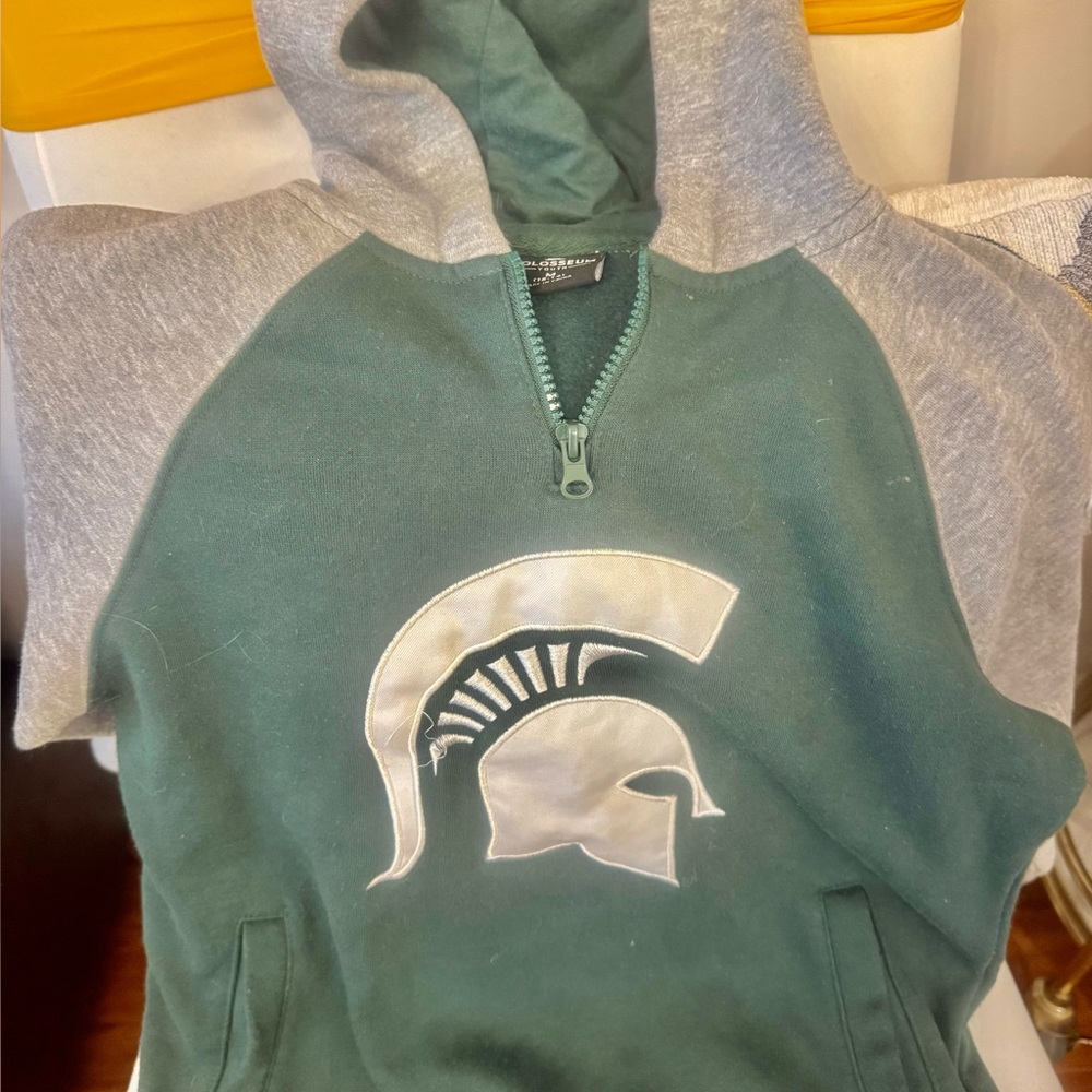 Colosseum Green and Gray Hoodie with Logo